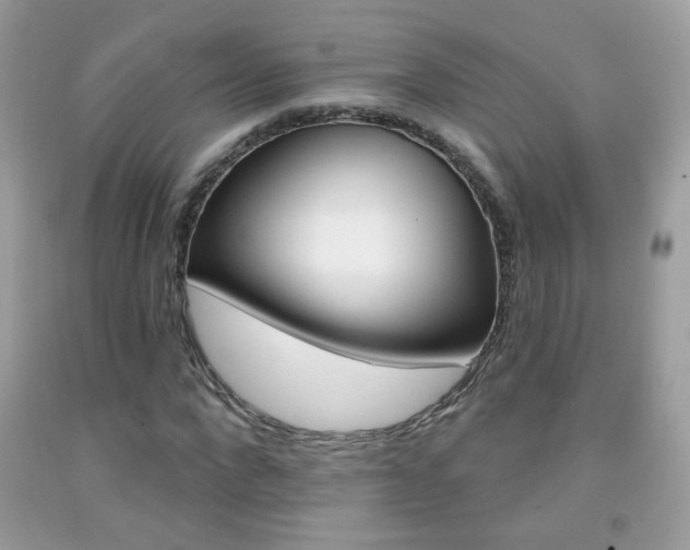 X0000092080872200709121103