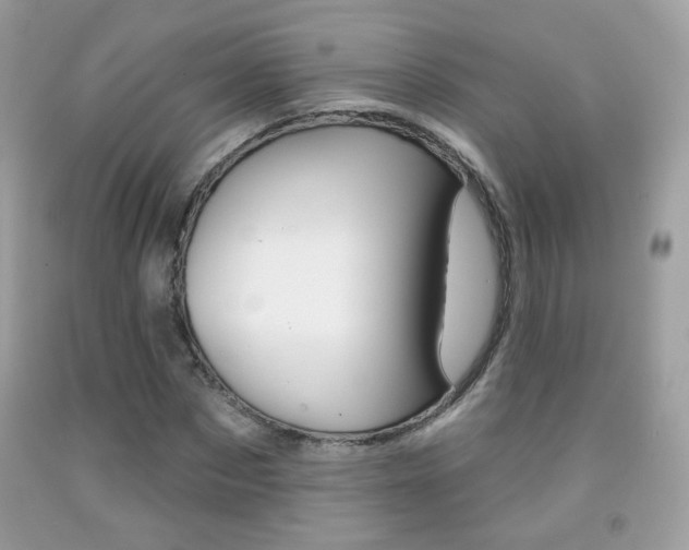 X0000092080873200709121103