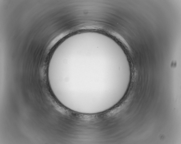 X0000092080874200709121103
