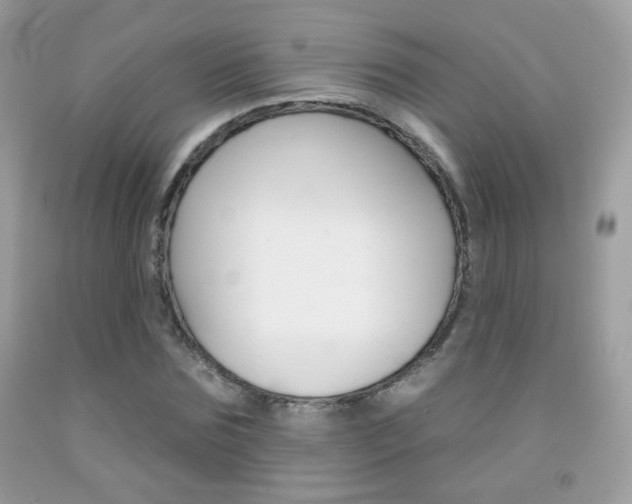 X0000092080875200709121103