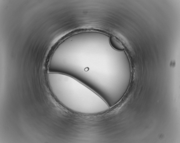 X0000092080876200709121103