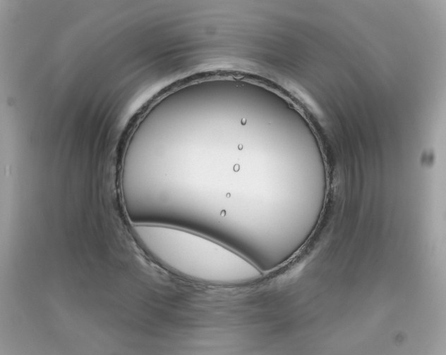 X0000092080877200709121103