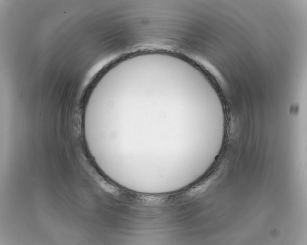 X0000092080878200709121103