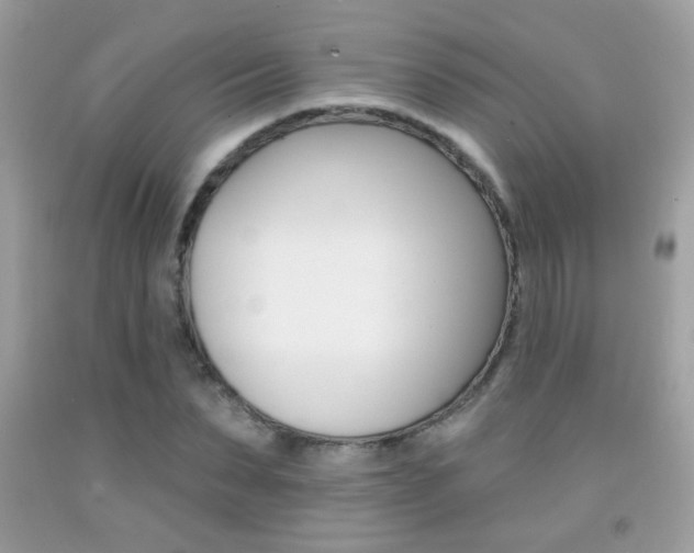 X0000092080879200709121103