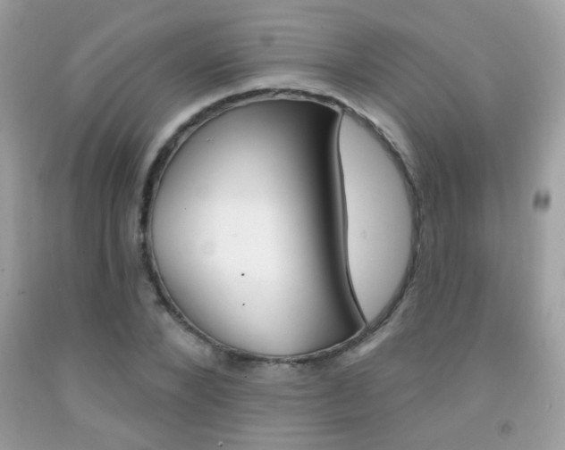 X0000092080880200709121103