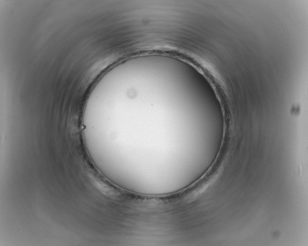 X0000092080881200709121103