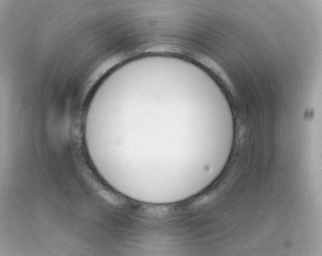 X0000092080882200709121103