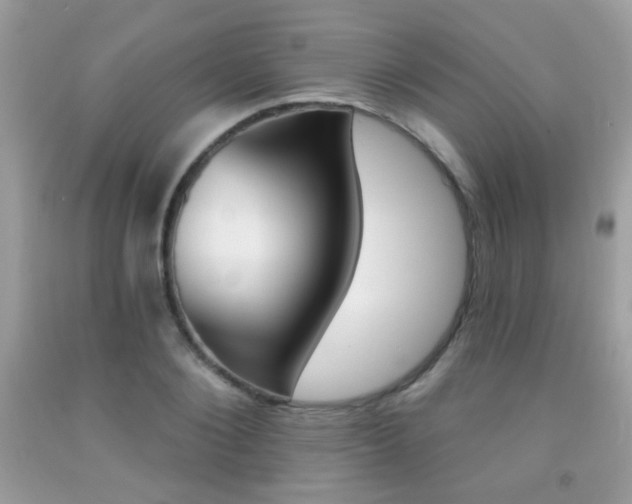 X0000092080884200709121103