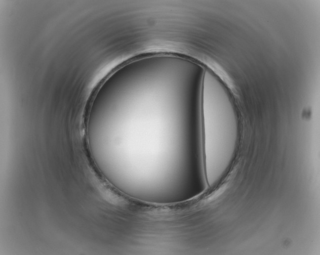 X0000092080885200709121103