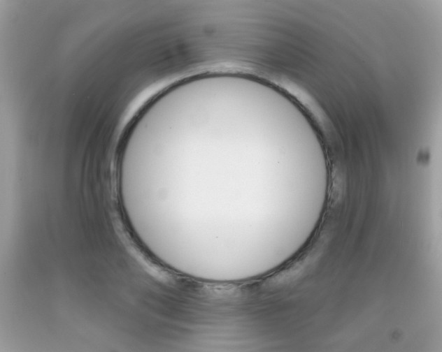 X0000092080886200709121103