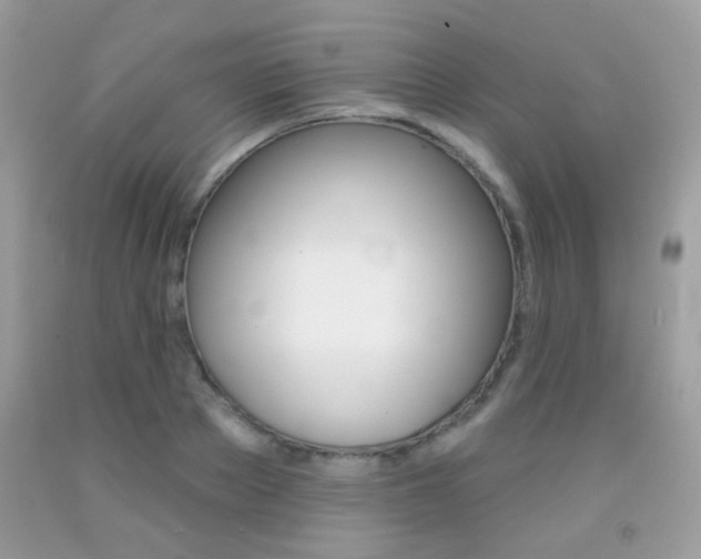 X0000092080889200709121103