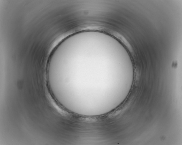 X0000092080890200709121103