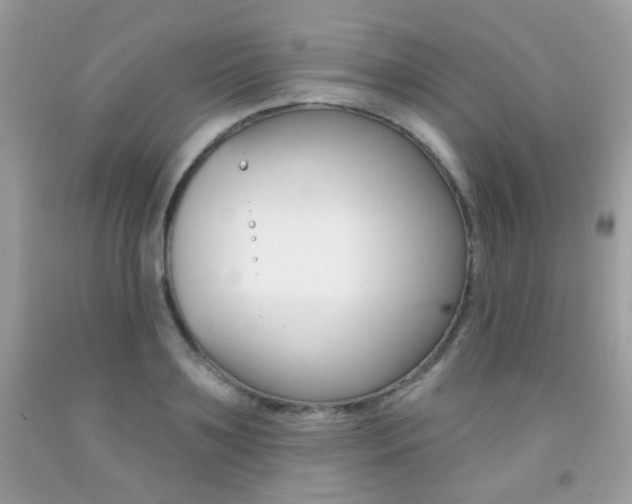 X0000092080891200709121103