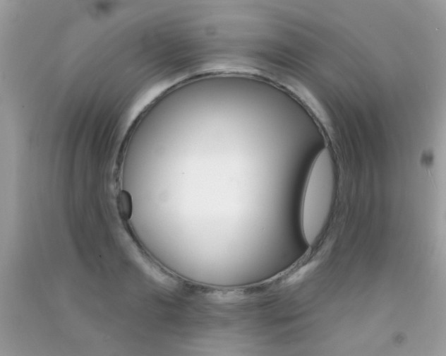 X0000092080893200709121103