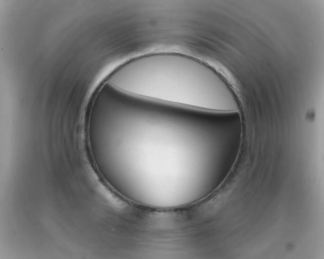 X0000092080894200709121103