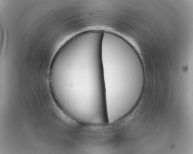 X0000092080895200709121103