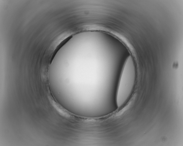 X0000092080897200709121103