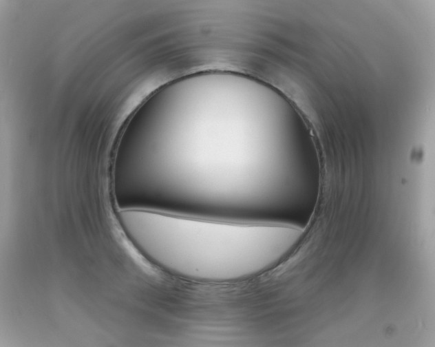 X0000092080898200709121103