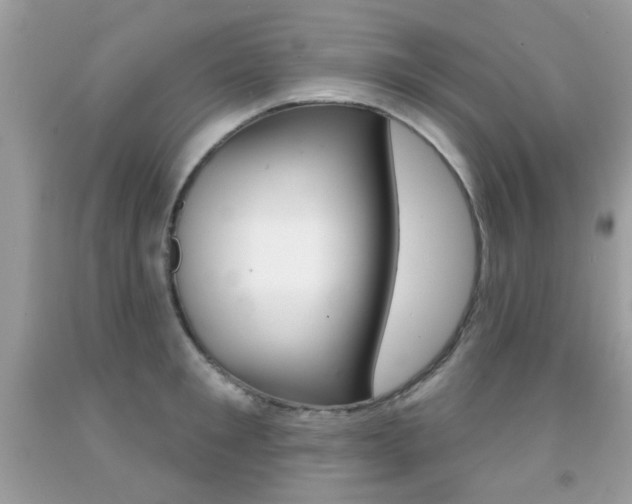 X0000092080901200709121103