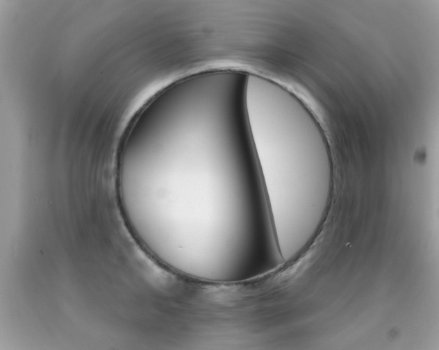 X0000092080902200709121103