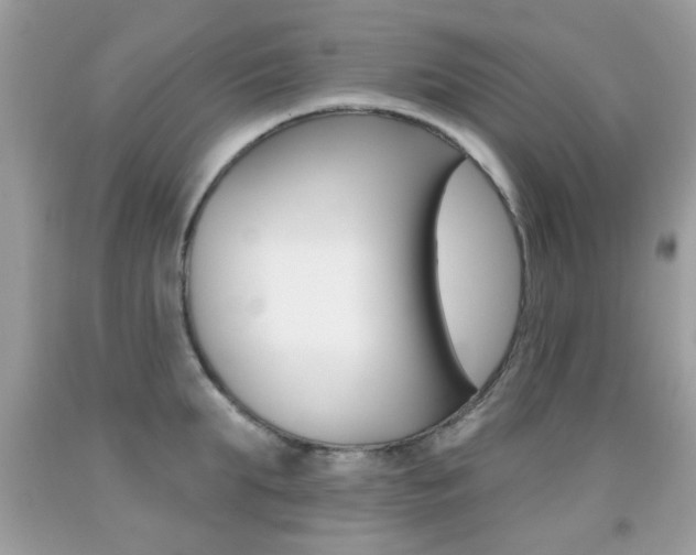 X0000092080903200709121103