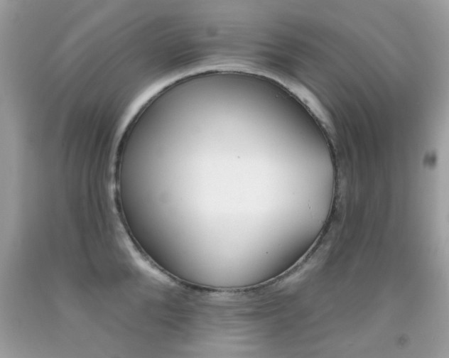 X0000092080904200709121103
