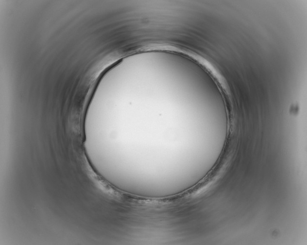 X0000092080905200709121103