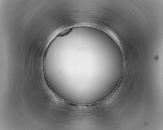 X0000092080907200709121103