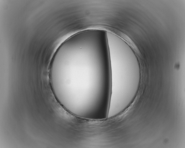 X0000092080908200709121103