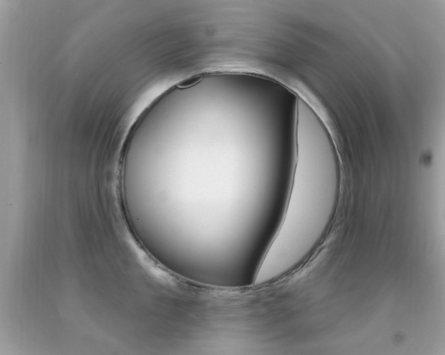 X0000092080909200709121103