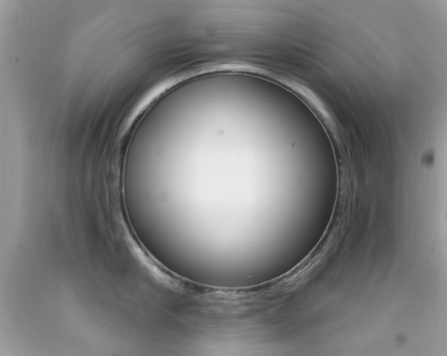 X0000092080910200709121103