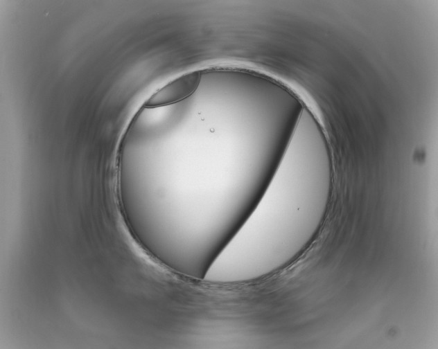 X0000092080911200709121103