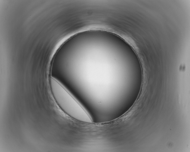 X0000092080912200709121103
