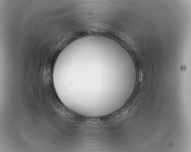 X0000092080915200709121102