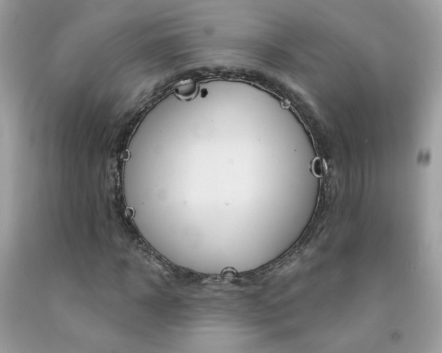 X0000092080918200709121102