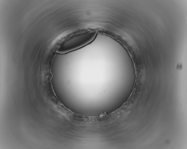 X0000092080920200709121102