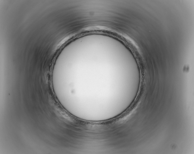 X0000092080921200709121102