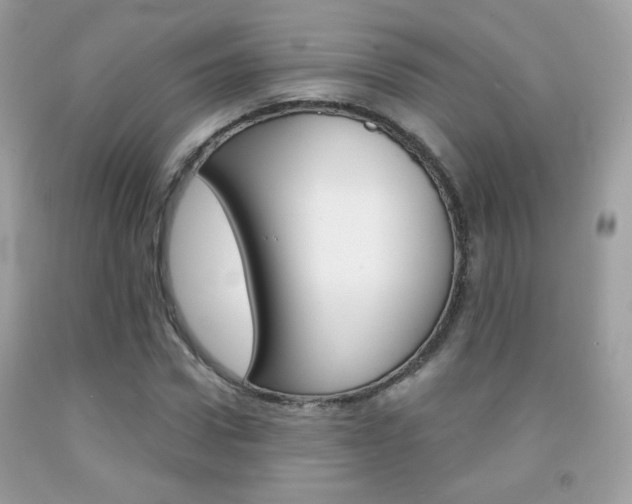 X0000092080922200709121102