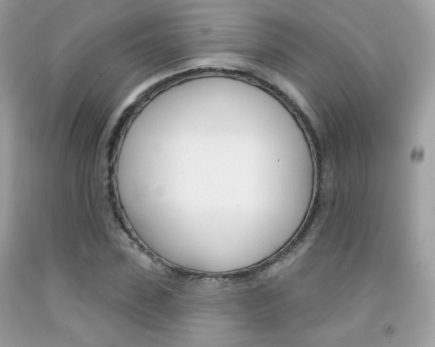X0000092080923200709121102
