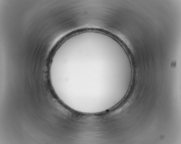 X0000092080926200709121103