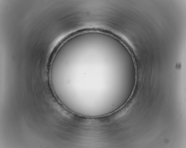 X0000092080927200709121103