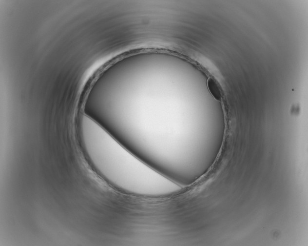 X0000092080928200709121103