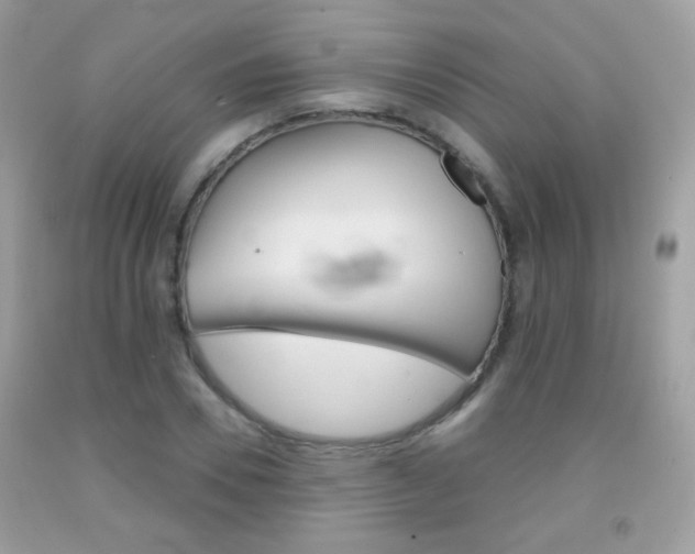 X0000092080930200709121103