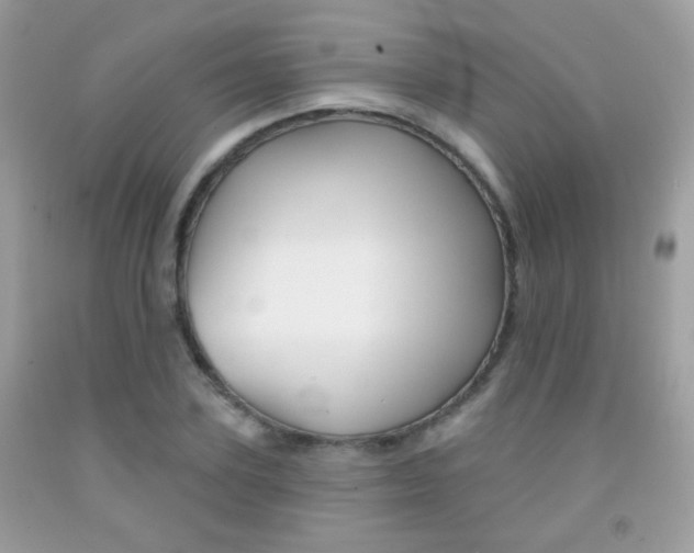 X0000092080931200709121103