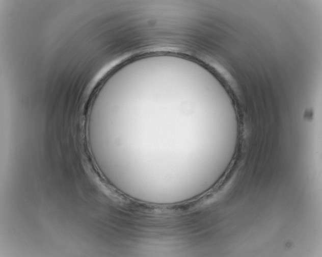 X0000092080933200709121103