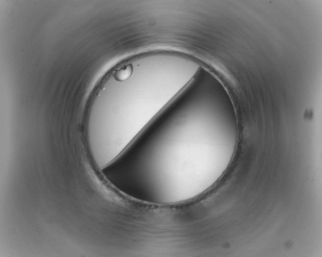 X0000092080934200709121103