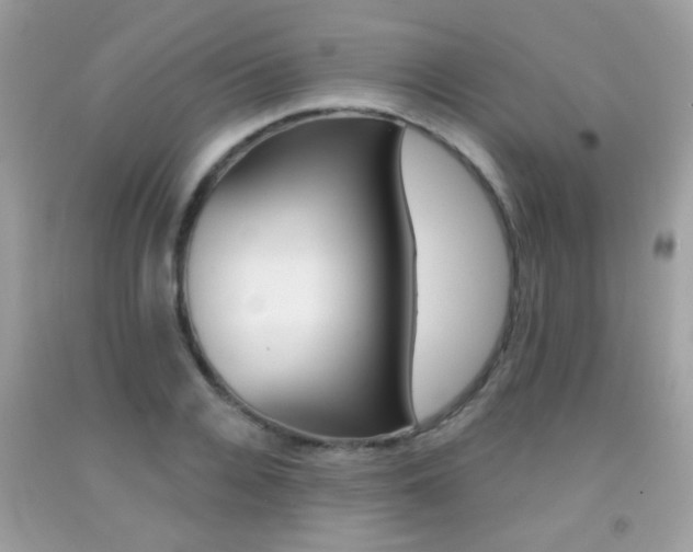 X0000092080936200709121103