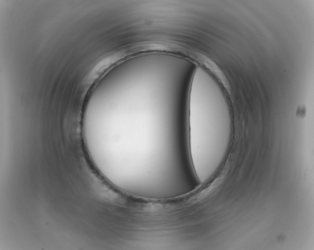 X0000092080938200709121103