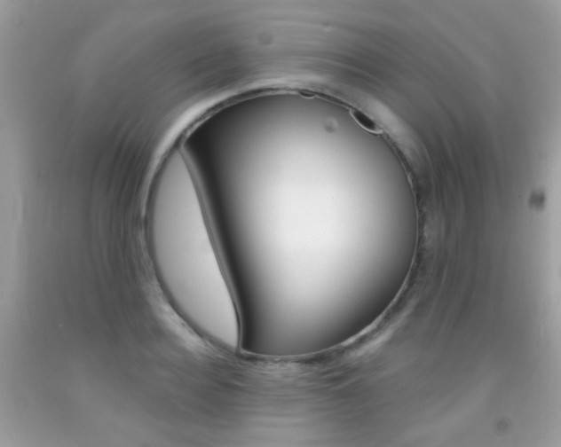 X0000092080940200709121103