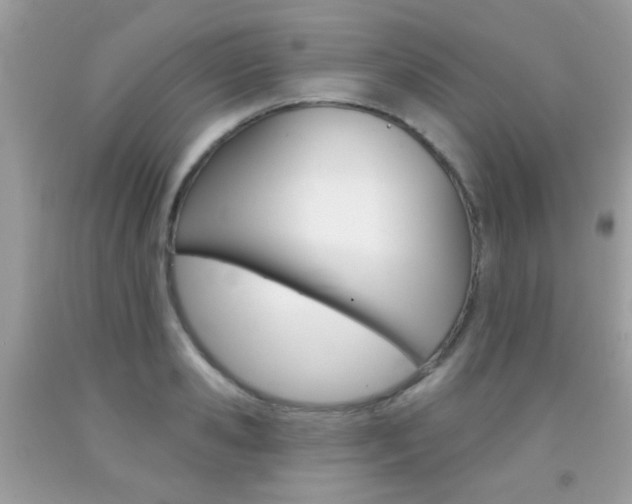 X0000092080941200709121103